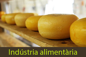 Industria alimentaria